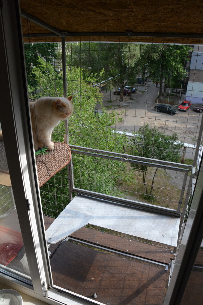 Выгул на окно для кошек (балкон) купить в Москве по низким ценам