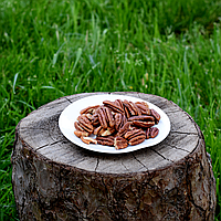 Пекан сирий