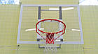 Баскетбольний щит 900 х 680 мм дитячий з оргскла завтовшки 8 мм, фото 2