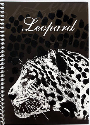 Блокнот А5, бічна пружина, 50 листів офсет, клітка, крейдована обкладинка м'яка "Серія Оксамит" Ц355075У KNZ, фото 1