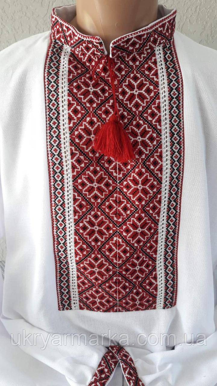 Вишита сорочка "Гулянка"