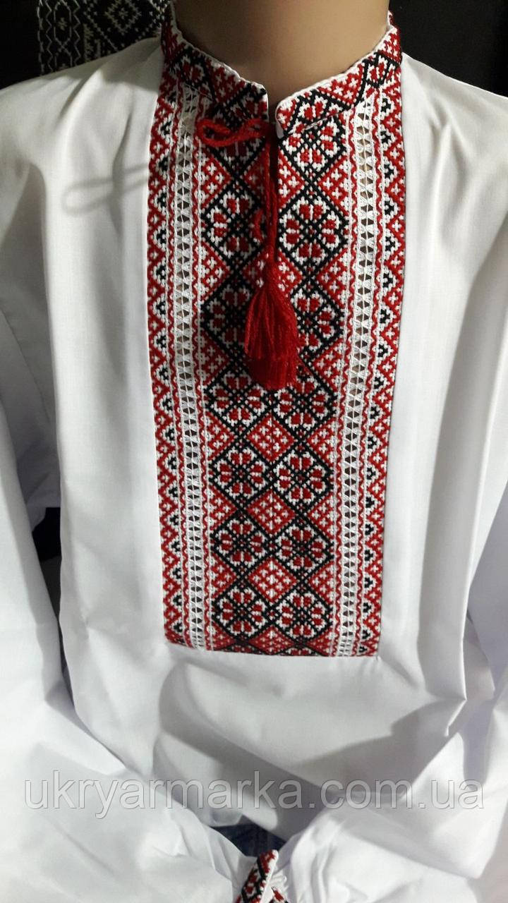 Чоловіча вишиванка "Запоріжжя" з ручною вишивкою