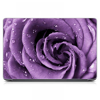 Наклейка на ноутбук захисна 15.6"-13.3" Purple Rose Матова, подарунок для дівчини, подарунок сестрі 380х250 мм