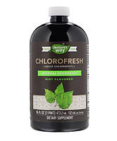 Жидкий хлорофилл Nature's Way Chlorofresh с ароматом мяты 473 мл