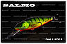 Воблер Salmo Perch PH8F HPH R, фото 2