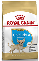Корм Royal Canin (Роял Канін) JUNIOR CHIHUAHUA для цуценят породи Чихуахуа, 500 г