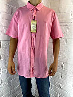 Рубашка мужская Welldone 17 с коротким рукавом розовая XL-5XL