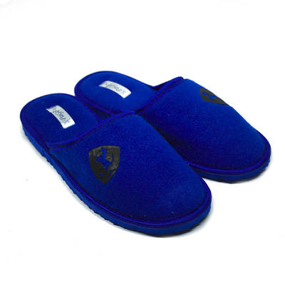Тапочки підліткові хлопчик домашні кімнатні PaGo "Ferrari" Сині 37