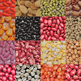 Протруйники