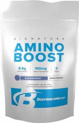 Амінокислоти Bodybuilding Signature Amino Boost 30 порц. (450 г), фото 1