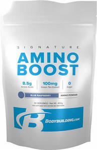 Амінокислоти Bodybuilding Signature Amino Boost 30 порц. (450 г)