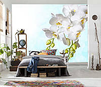 Фото Обои "Белая орхидея" - Любой размер! Читаем описание!