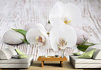 Фото Обои "Белая орхидея и камни дереве" - Любой размер! Читаем описание!