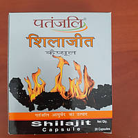 Шиладжит, мумие, 20кап., shilajit, защита мозга, увеличение энергии