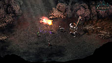 Pillars of Eternity Hero Edition, фото 5