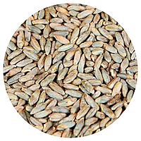 Солод ржаной (Rye Malt) 1кг Weyermann. Германия.