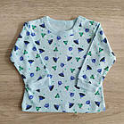 Кофта регланом для новонароджених Інопланетянин Польща Одяг на немовлят, фото 2