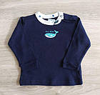 Кофта регланом сорочечка для новонароджених Кашалот Польща Одяг на немовлят, фото 3