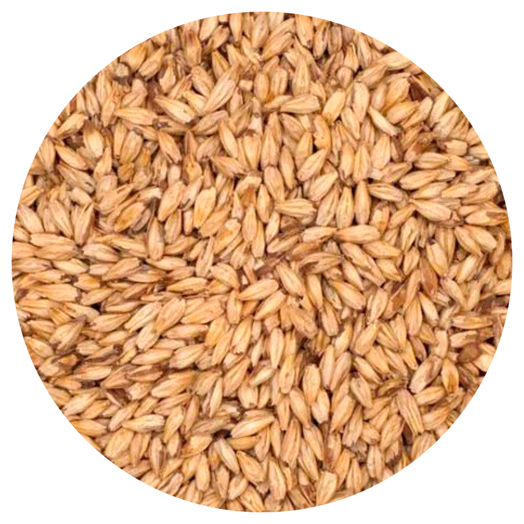 Солод мюнхенський  2 типу (Munich type II) 1кг. Weyarmann (Німеччина), фото 1