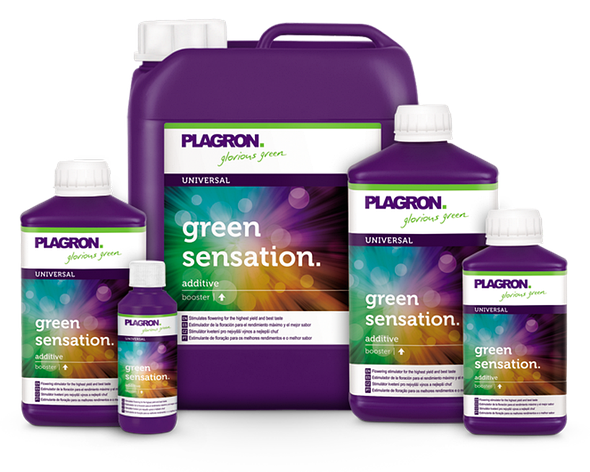 Стимулятор цвітіння Plagron Green Sensation 5 L, фото 2