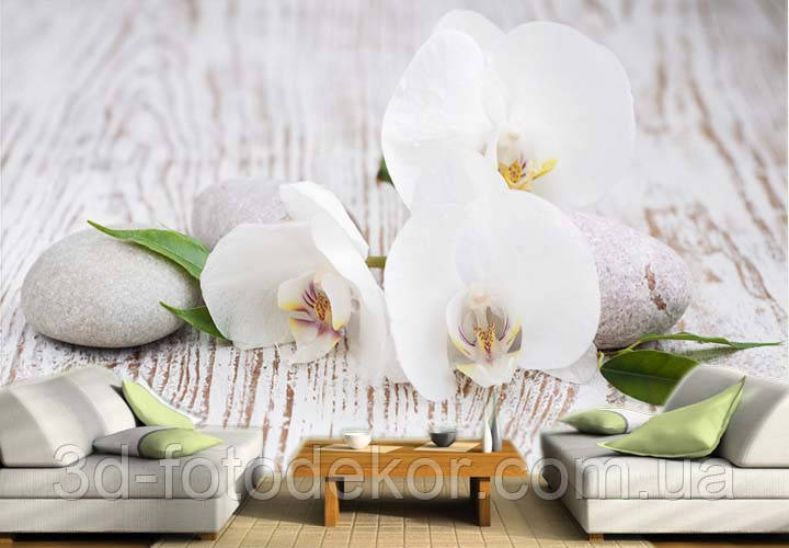 Фото Шпалери "Біла орхідея і камені дереві" - Будь-який розмір! Читаємо опис!