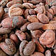 Какао-боби сирі, Гана, 1кг, фото 3