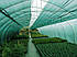 Сітка затіняюча 45% 6м х 50м, зелена, ZSK (Китай), фото 2