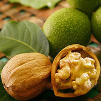 Саджанці горіха волоського "Кишинівський"