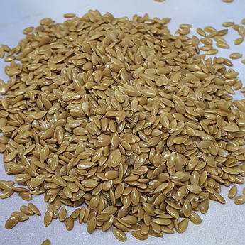 Льон золотий