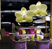 Фото Обои "Желтая орхидея на камнях" - Любой размер! Читаем описание!