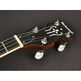 Банджо Richwood RMB-604-SS, фото 8