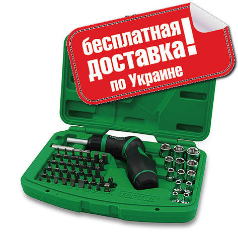 Набір інструменту Toptul GAAI5401 1/4", фото 1