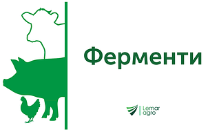 Ферменти