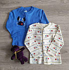 Кофта кардиган для новонароджених Краб Польща, фото 2