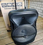 Колонка акумуляторна Wimpex WX-3028 Bluetooth, SD+USB, пульт, радіомікрофон, фото 3