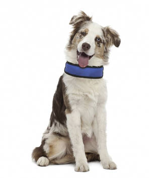 Нашийник охолоджуючий для собак Croci Harness Fresh 50-6 см (синій), фото 2