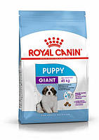 Royal Canin Giant Puppy (Роял Канін Джайнт Паппі) сухий корм для цуценят дуже великих порід