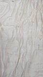 Шпон Ясень Корінь (Білий), фото 7