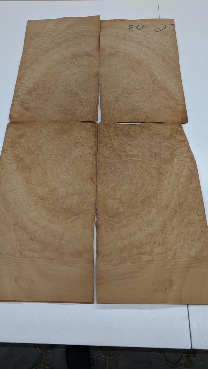 Шпон Мадроны Корінь, фото 1