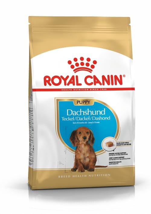 Royal Canin Dachshund Puppy (Роял Канін Такса Паппі) сухий корм для цуценят