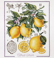 "Ботанический батл Лимон" Алисена. Набор для вышивки крестом (1260а)