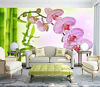 Фото Обои "Бамбук и розовая орхидея" - Любой размер! Читаем описание!