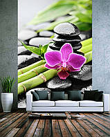 Фото Обои "Бамбук орхидея и камни" - Любой размер! Читаем описание!