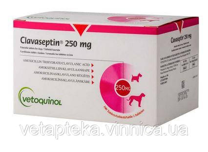 Клавасептин 250мг №10 (1т/20кг) Vetoquinol