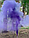 Кольоровий дим для фотосесії Фіолетовий Maxsem MA0512 Purple smoking fountain 60 сек, фото 5