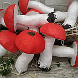 Гриб з червоною шапочкою, муляж h-10 см, d-5.5 cm 30\23 грн (ціна за 1 шт.+7грн.), фото 3