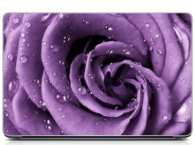 Універсальна вінілова наклейка на ноутбук 15.6"-13.3" Purple rose Матова 380х250 мм