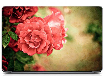 Універсальна вінілова наклейка на ноутбук 15.6"-13.3" Vintage rose Матова 380х250 мм