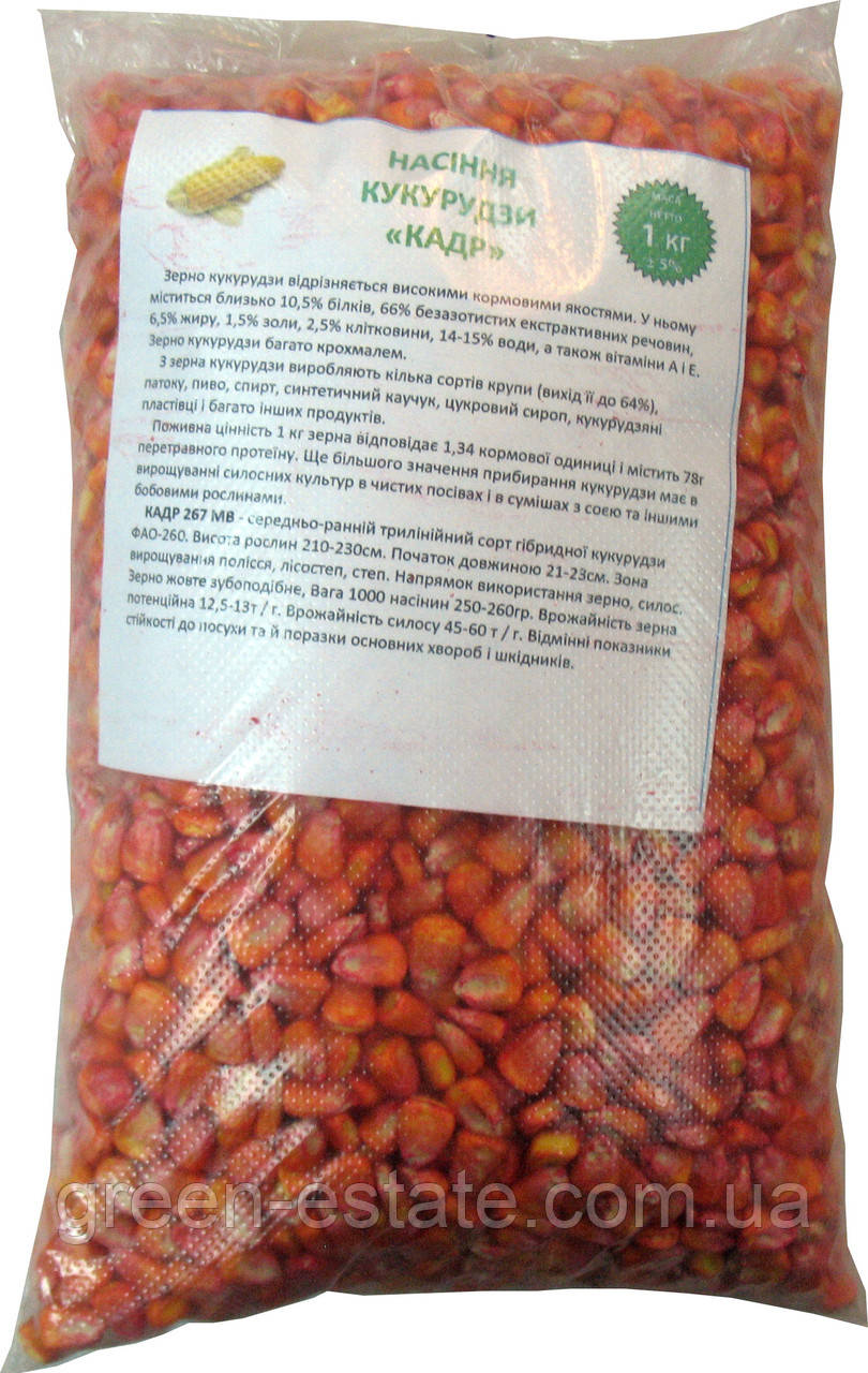 Семена кормовой кукурузы Кадр 267 МВ (F1), 0,8 кг - фото 1 - id-p523418757