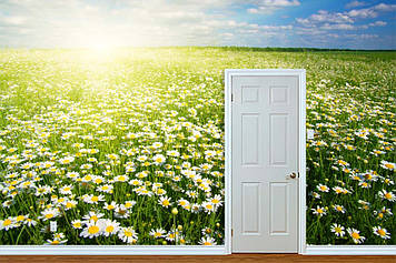 Фото Шпалери "Поле ромашок" - Будь-який розмір! Читаємо опис!